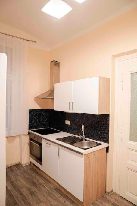 Cozy Flat By Wenceslas Square! プラハ エクステリア 写真